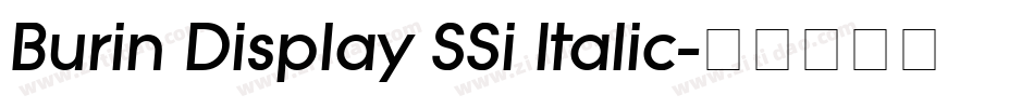 Burin Display SSi Italic字体转换